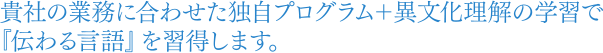 貴社の業務に合わせた独自プログラム＋異文化理解の学習で『伝わる言語』を習得します。